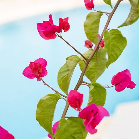 Apartamentos Los Tilos ปาเกรา ภายนอก รูปภาพ